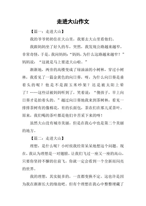 走进大山作文_1