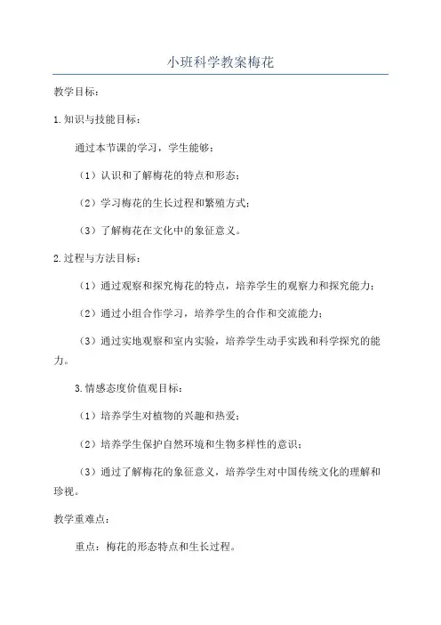 小班科学教案梅花