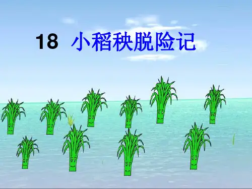 小稻秧脱险记ppt课件