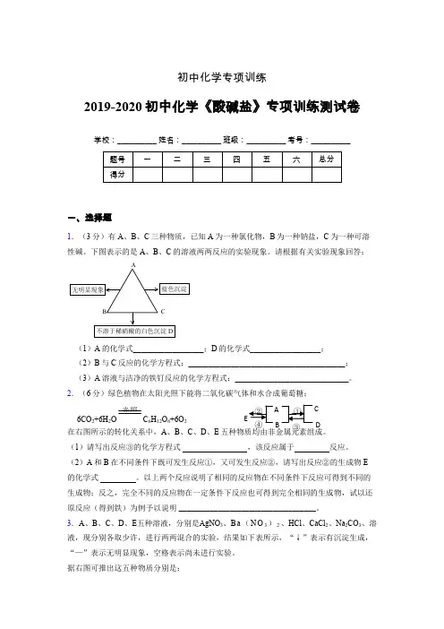 2019-2020学年初中化学《酸碱盐》专项训练模拟测试(含答案) (85)