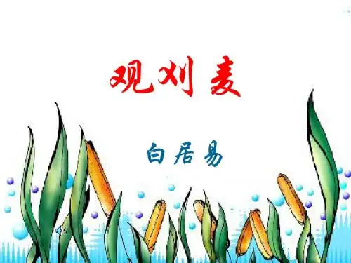 观刈麦课件上课用