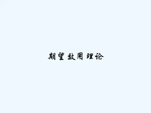 期望效用理论 PPT