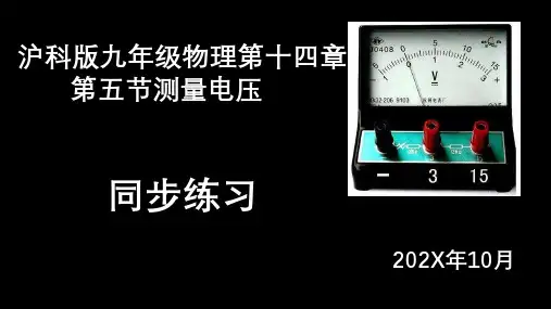 1 测量电压 同步练习 课件