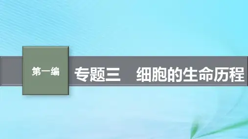 新高考新教材2024届高考生物二轮总复习专题三细胞的生命历程pptx课件