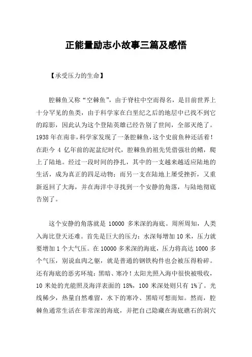 正能量励志小故事三篇及感悟