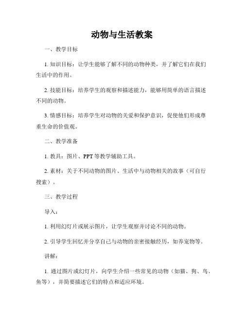 动物与生活教案