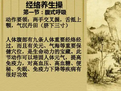 经络养生操