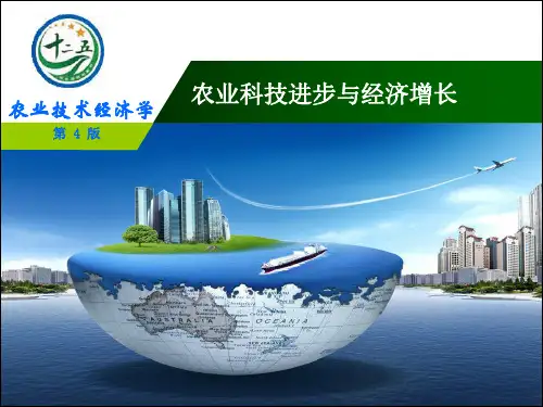 农业技术经济学课件 (5)