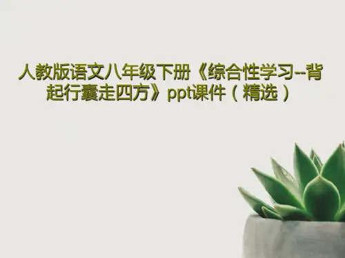 人教版语文八年级下册《综合性学习--背起行囊走四方》ppt课件(精选)PPT59页