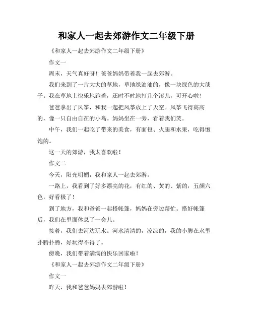 和家人一起去郊游作文二年级下册