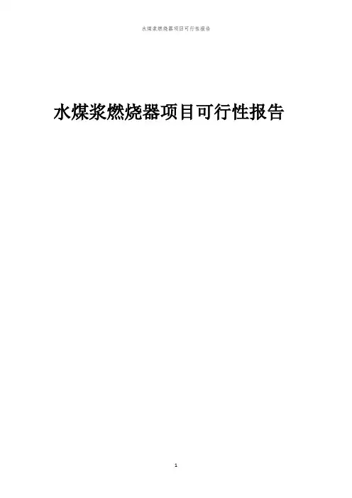 水煤浆燃烧器项目可行性报告