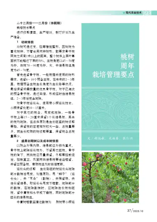 桃树周年栽培管理要点