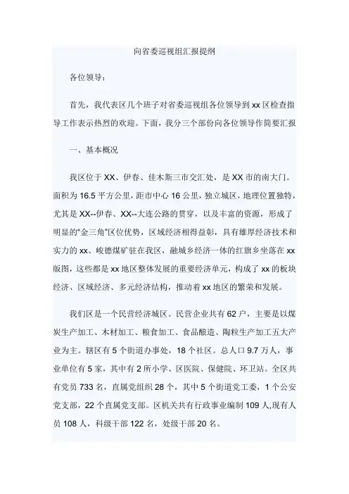 向省委巡视组汇报提纲