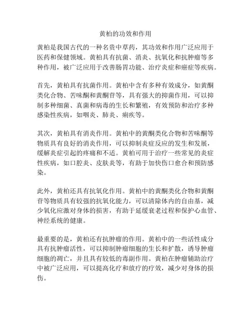黄柏的功效和作用