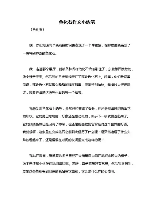 鱼化石作文小练笔
