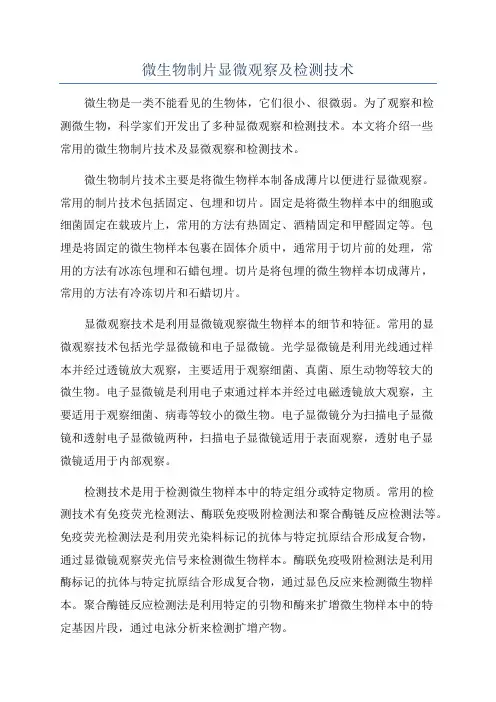 微生物制片显微观察及检测技术
