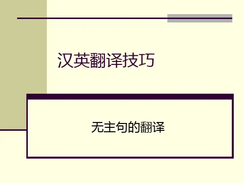 sd 汉译英 无主句的翻译