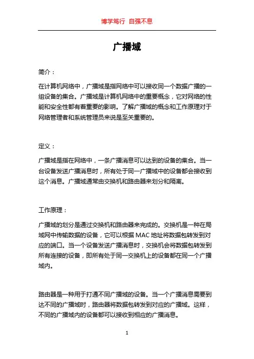 广播域_精品文档