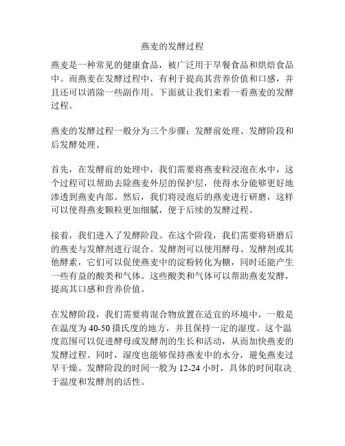 燕麦的发酵过程