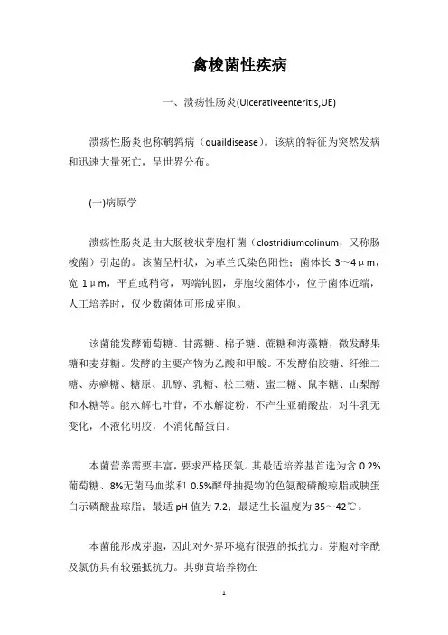 禽梭菌性疾病