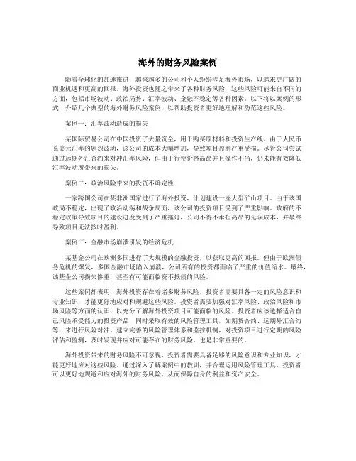 海外的财务风险案例