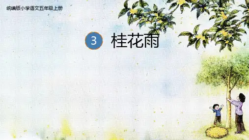 3 桂花雨课件(共31张PPT)