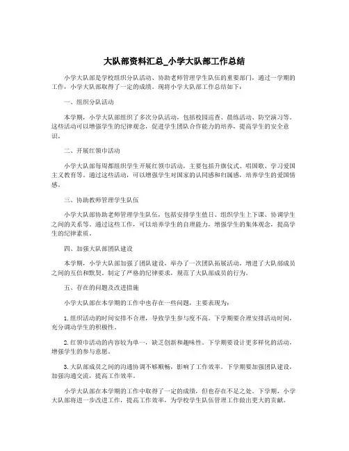大队部资料汇总_小学大队部工作总结