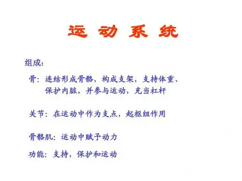 骨骼系统解剖