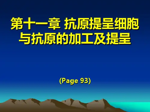 11_APC和抗原提呈