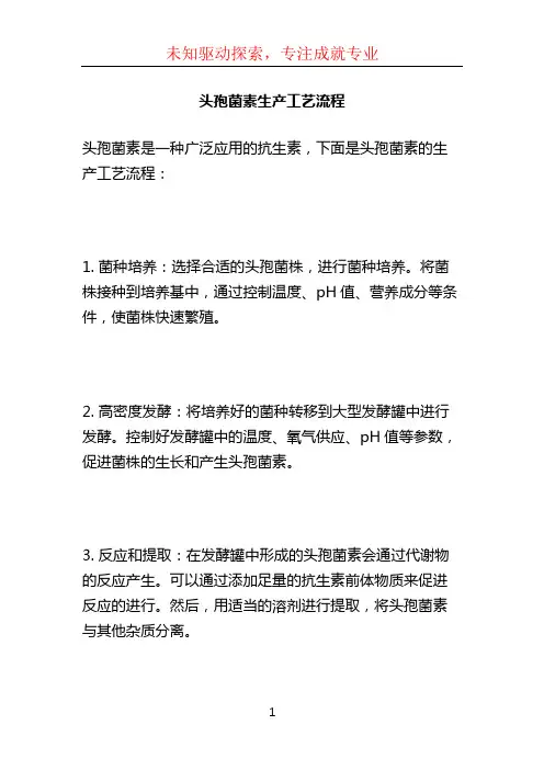 头孢菌素生产工艺流程 (3)