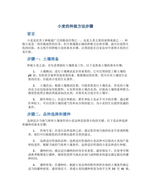 小麦的种植方法步骤