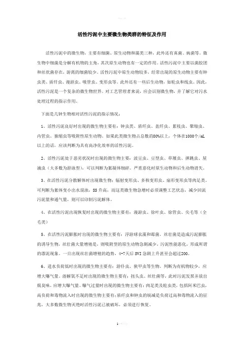 活性污泥中的微生物