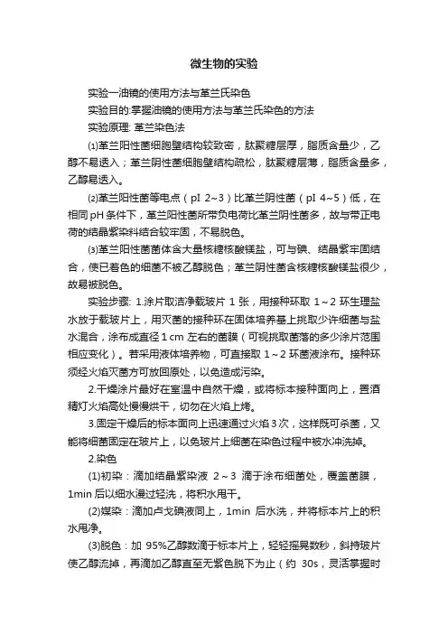 微生物的实验