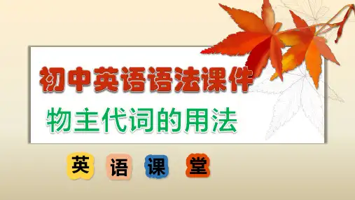 专题13 物主代词的用法精讲课件中考英语语法复习