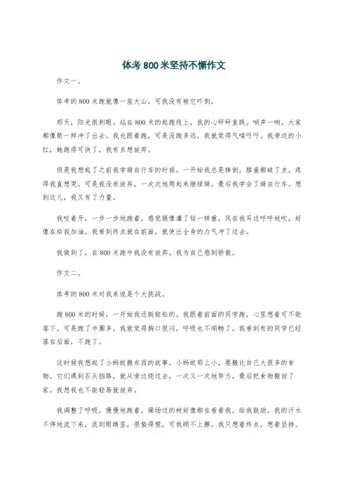 体考800米坚持不懈作文