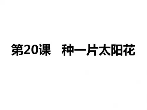 第20课种下一片太阳花课件