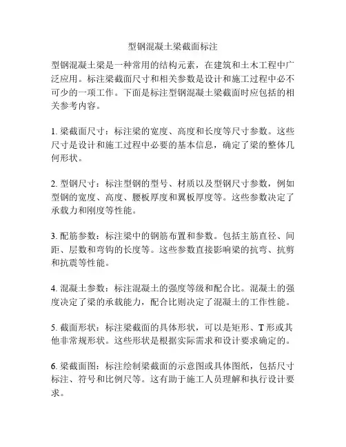 型钢混凝土梁截面标注