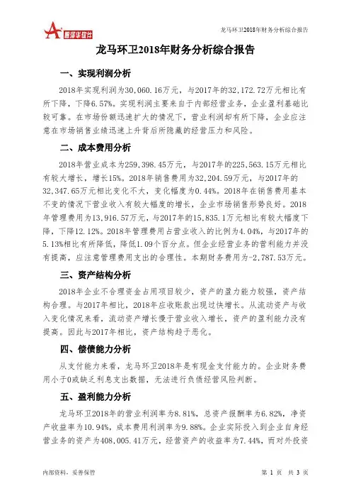 龙马环卫2018年财务分析结论报告-智泽华