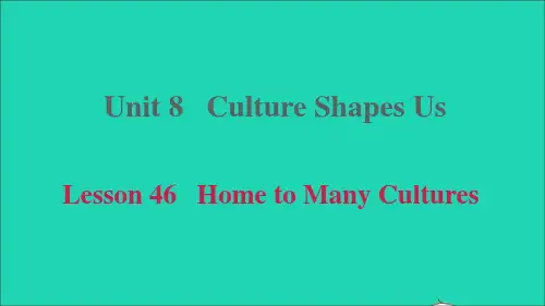 九年级英语上册Unit8Lesson46HometoManyCultures冀教版