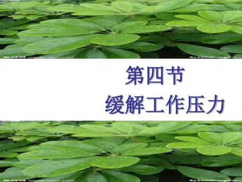 缓解工作压力培训课件(ppt49张)