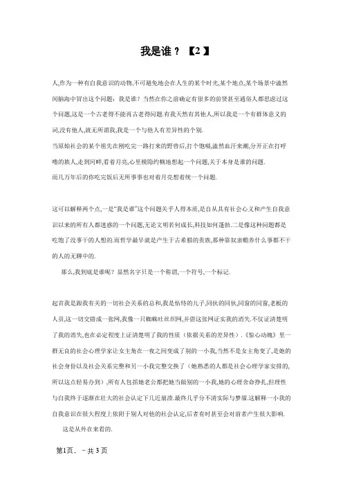 我是谁 哲学论文