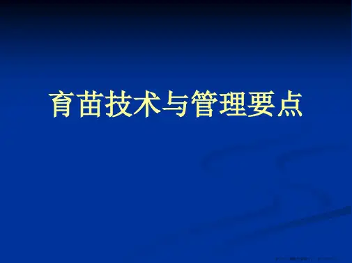 烟叶育苗技术与管理要点课件精要