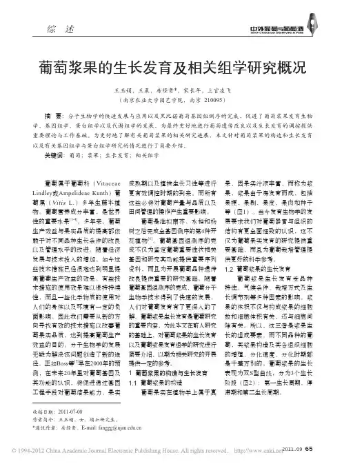 葡萄浆果的生长发育及相关组学研究概况