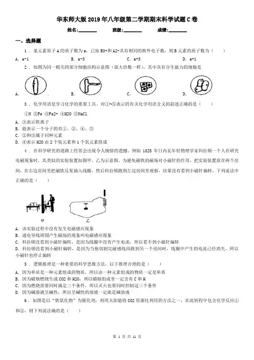 华东师大版2019年八年级第二学期期末科学试题C卷