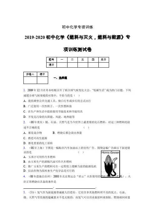 2019-2020学年初中化学《燃料与灭火,燃料与能源》专项训练模拟测试(含答案) (270)