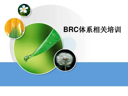 BRC体系相关培训教材(共 49张PPT)