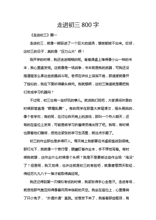 走进初三800字