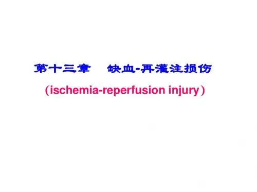 病理生理学网络课件第13章缺血、再灌注损伤课件