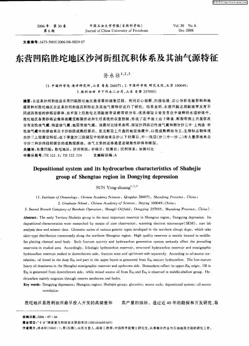 东营凹陷胜坨地区沙河街组沉积体系及其油气源特征