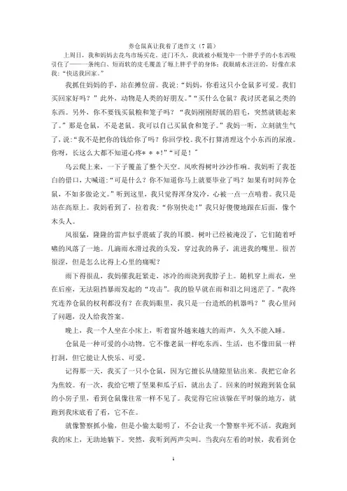 养仓鼠真让我着了迷作文(7篇)